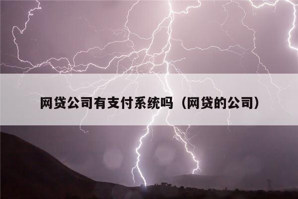 网贷公司有支付系统吗（网贷的公司）