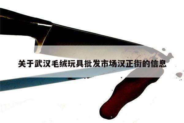 关于武汉毛绒玩具批发市场汉正街的信息