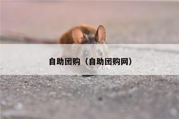 自助团购（自助团购网）