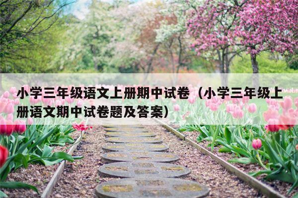 小学三年级语文上册期中试卷（小学三年级上册语文期中试卷题及答案）