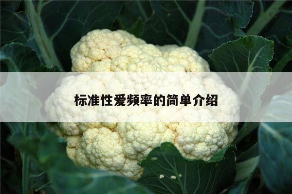 标准性爱频率的简单介绍