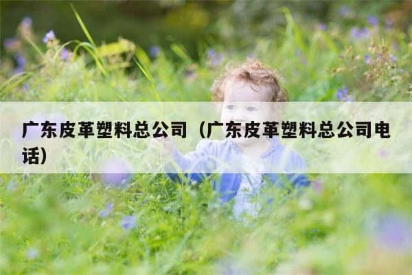 广东皮革塑料总公司（广东皮革塑料总公司电话）