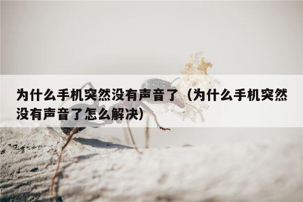 为什么手机突然没有声音了（为什么手机突然没有声音了怎么解决）