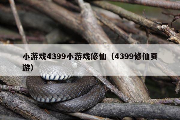 小游戏4399小游戏修仙（4399修仙页游）