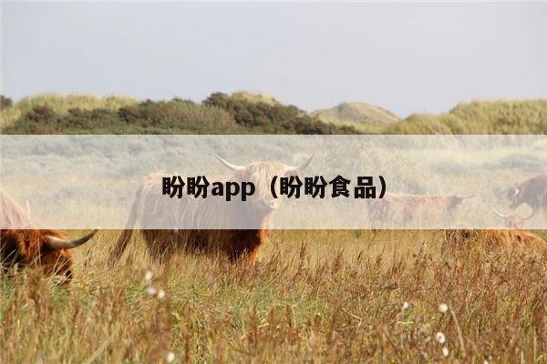 盼盼app（盼盼食品）