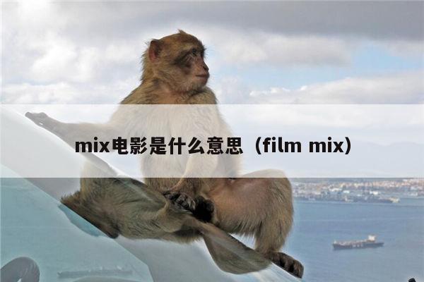 mix电影是什么意思（film mix）