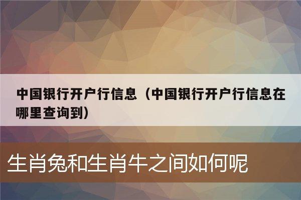 中国银行开户行信息（中国银行开户行信息在哪里查询到）