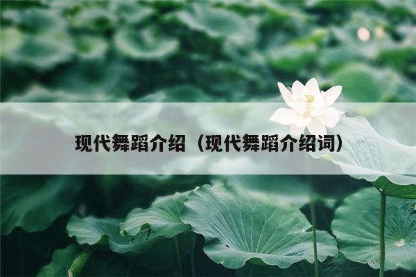 现代舞蹈介绍（现代舞蹈介绍词）