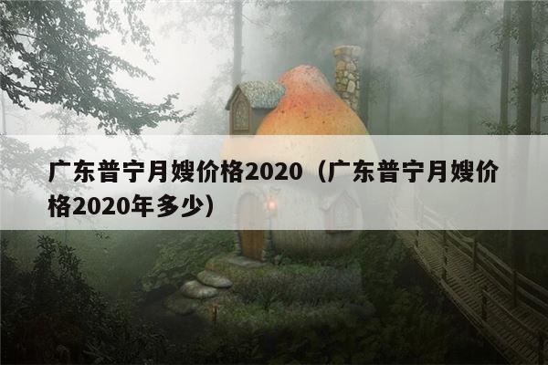 广东普宁月嫂价格2020（广东普宁月嫂价格2020年多少）