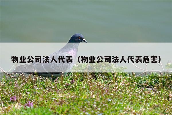 物业公司法人代表（物业公司法人代表危害）