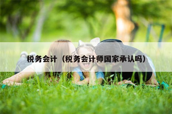 税务会计（税务会计师国家承认吗）