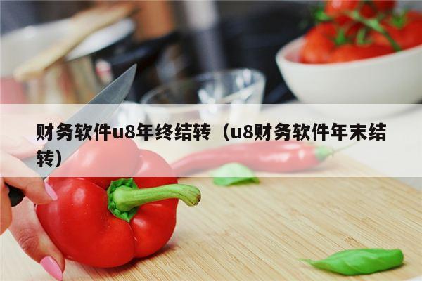 财务软件u8年终结转（u8财务软件年末结转）