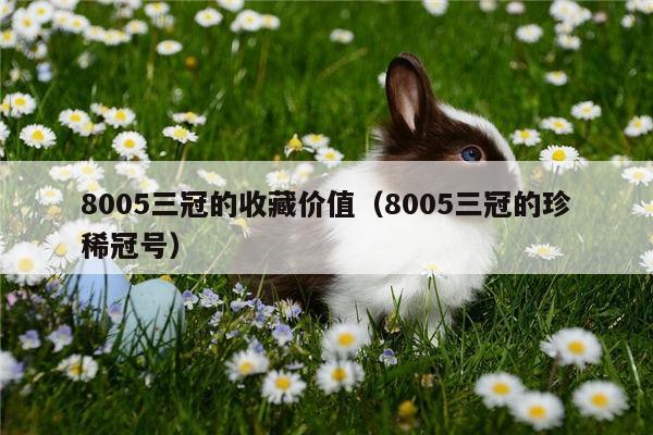 8005三冠的收藏价值（8005三冠的珍稀冠号）