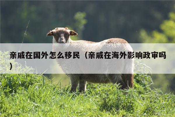 亲戚在国外怎么移民（亲戚在海外影响政审吗）