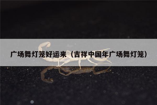 广场舞灯笼好运来（吉祥中国年广场舞灯笼）