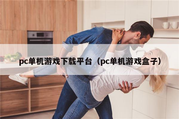 pc单机游戏下载平台（pc单机游戏盒子）