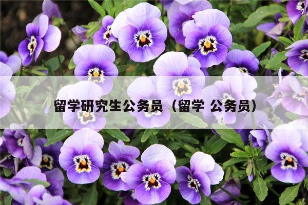 留学研究生公务员（留学 公务员）