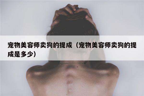 宠物美容师卖狗的提成（宠物美容师卖狗的提成是多少）