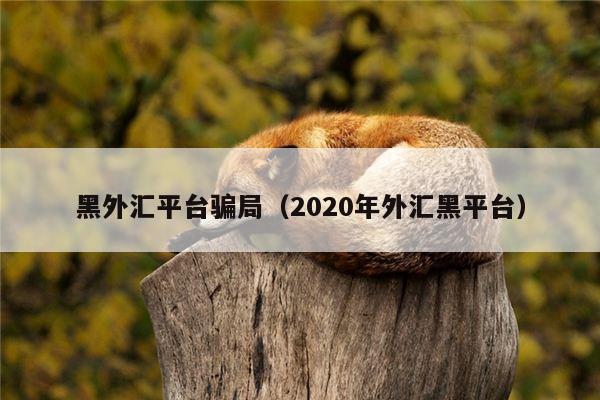 黑外汇平台骗局（2020年外汇黑平台）