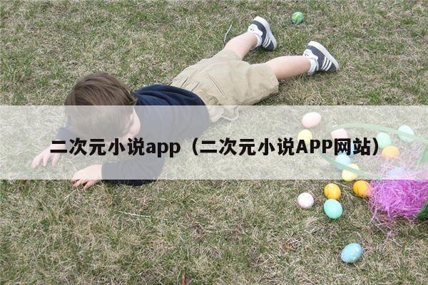 二次元小说app（二次元小说APP网站）