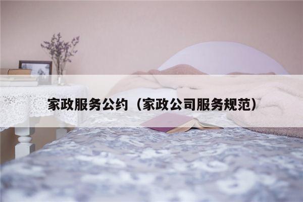 家政服务公约（家政公司服务规范）