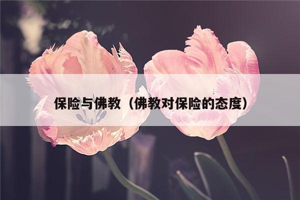 保险与佛教（佛教对保险的态度）