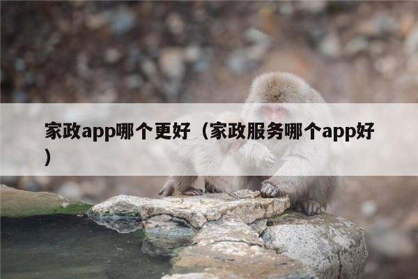 家政app哪个更好（家政服务哪个app好）