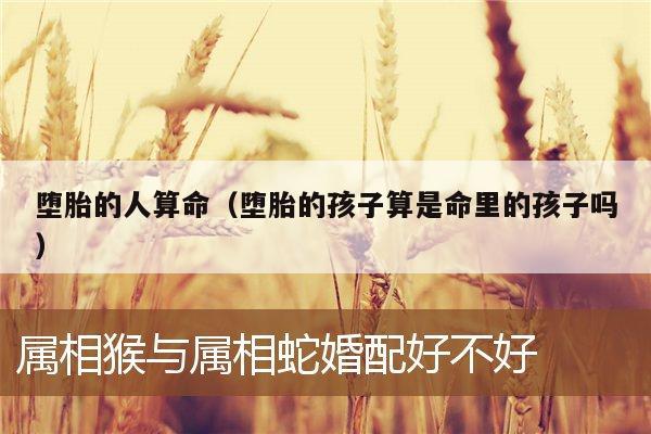 堕胎的人算命（堕胎的孩子算是命里的孩子吗）