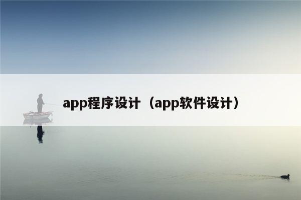 app程序设计（app软件设计）