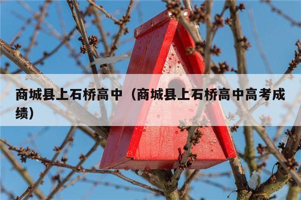 商城县上石桥高中（商城县上石桥高中高考成绩）