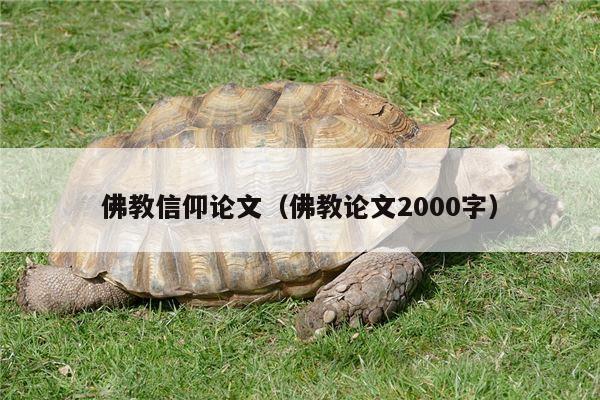 佛教信仰论文（佛教论文2000字）