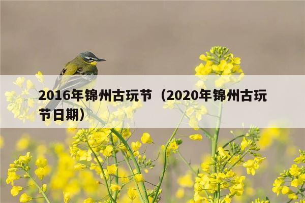 2016年锦州古玩节（2020年锦州古玩节日期）