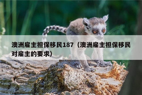 澳洲雇主担保移民187（澳洲雇主担保移民对雇主的要求）