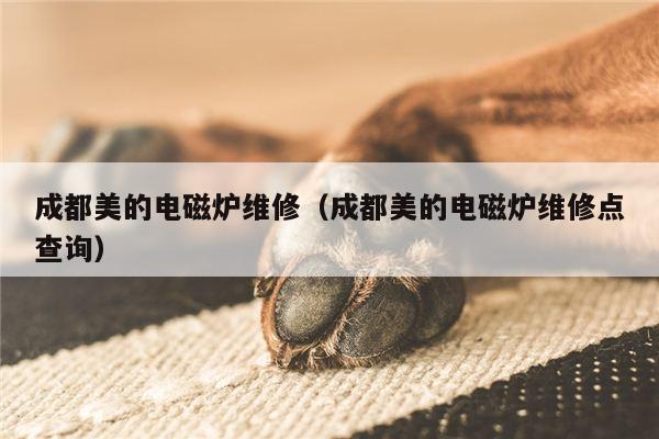 成都美的电磁炉维修（成都美的电磁炉维修点查询）