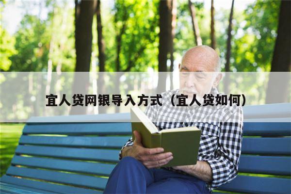 宜人贷网银导入方式（宜人贷如何）