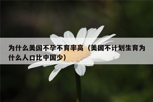 为什么美国不孕不育率高（美国不计划生育为什么人口比中国少）