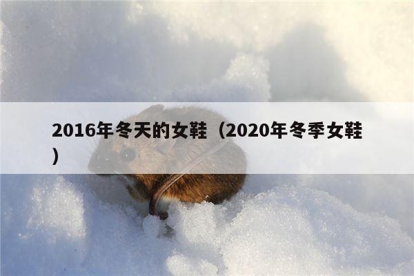 2016年冬天的女鞋（2020年冬季女鞋）