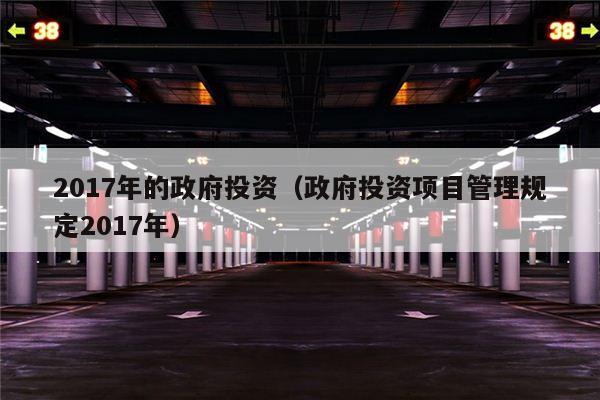 2017年的政府投资（政府投资项目管理规定2017年）