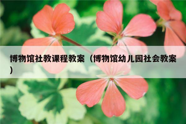 博物馆社教课程教案（博物馆幼儿园社会教案）