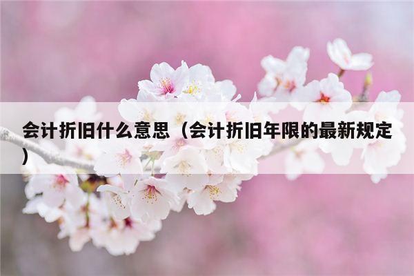 会计折旧什么意思（会计折旧年限的最新规定）