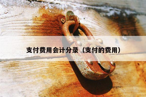 支付费用会计分录（支付的费用）