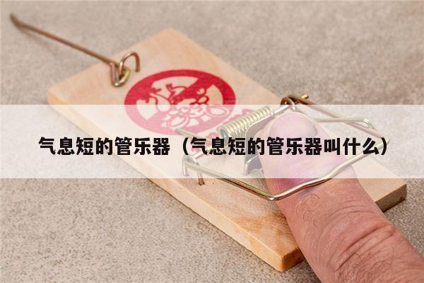 气息短的管乐器（气息短的管乐器叫什么）