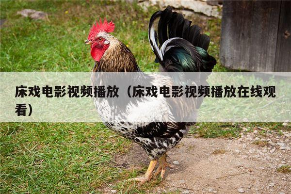 床戏电影视频播放（床戏电影视频播放在线观看）