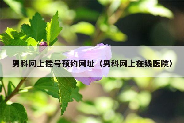 男科网上挂号预约网址（男科网上在线医院）