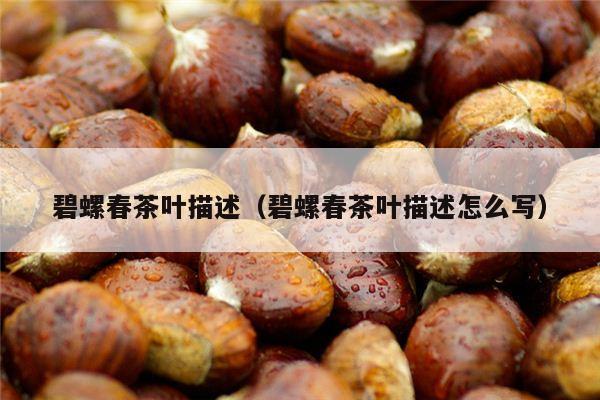 碧螺春茶叶描述（碧螺春茶叶描述怎么写）