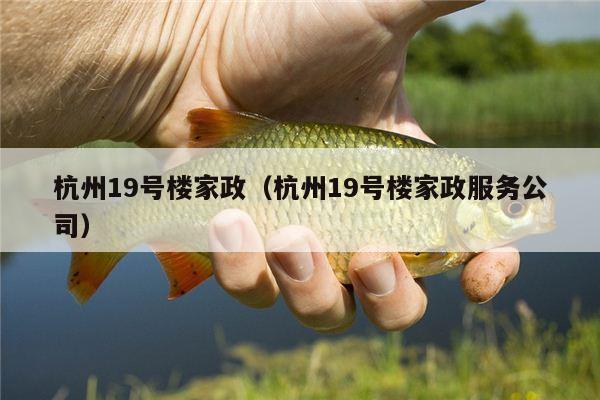 杭州19号楼家政（杭州19号楼家政服务公司）