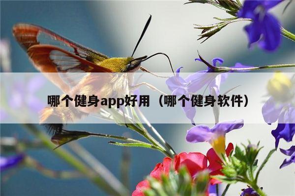 哪个健身app好用（哪个健身软件）