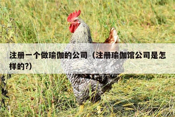 注册一个做瑜伽的公司（注册瑜伽馆公司是怎样的?）