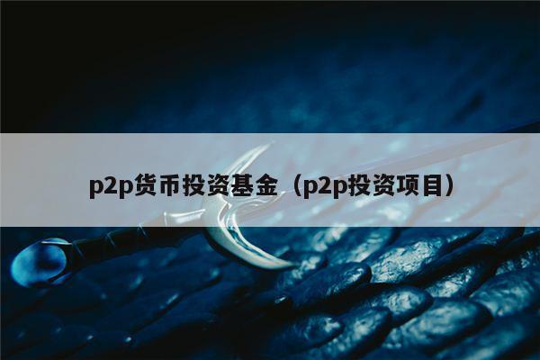 p2p货币投资基金（p2p投资项目）