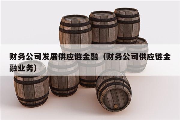 财务公司发展供应链金融（财务公司供应链金融业务）